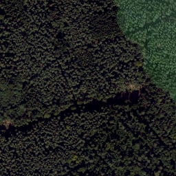 Satellite imagery of TP, CZ