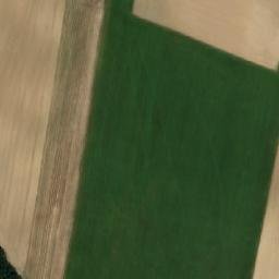 Satellite imagery of (Padělky) [Záhoří u Bechyně], CZ