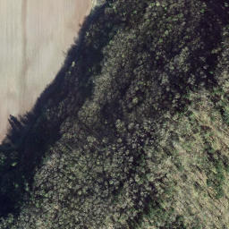 Satellite imagery of survey_point, CA
