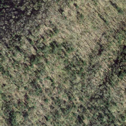 Satellite imagery of survey_point, CA