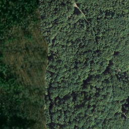 Satellite imagery of Bauwalder Kopf, DE