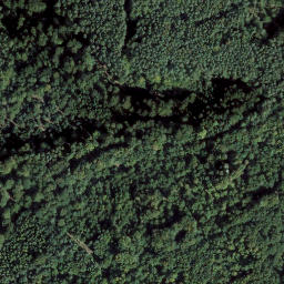 Satellite imagery of Wetthöhe, DE