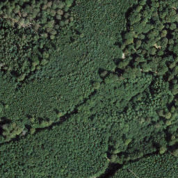 Satellite imagery of Hanseneck, DE