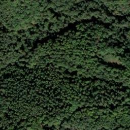 Satellite imagery of Rehköpfchen, DE