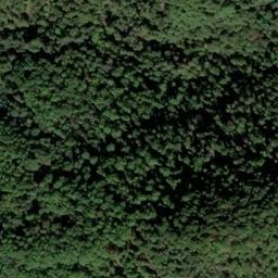 Satellite imagery of Rehköpfchen, DE