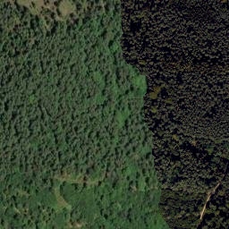 Satellite imagery of TP, CZ