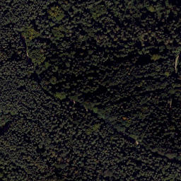 Satellite imagery of TP, CZ