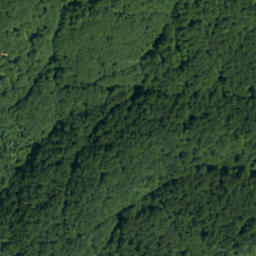 Satellite imagery of survey_point, PL