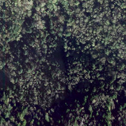 Satellite imagery of survey_point, CA