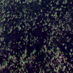 Satellite imagery of survey_point, CA