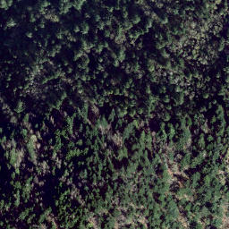 Satellite imagery of survey_point, CA
