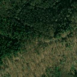 Satellite imagery of Bauwalder Kopf, DE