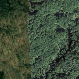 Satellite imagery of Bauwalder Kopf, DE