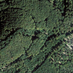 Satellite imagery of Große Boll, DE