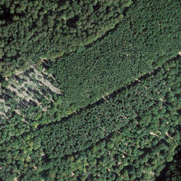 Satellite imagery of Große Boll, DE