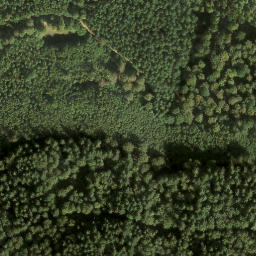 Satellite imagery of Staufelkopf, DE