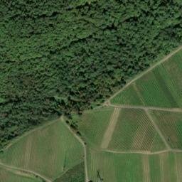 Satellite imagery of Ringelsberg, DE