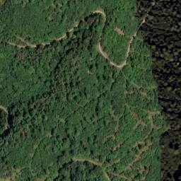 Satellite imagery of TP, CZ