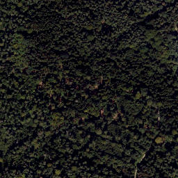 Satellite imagery of TP, CZ