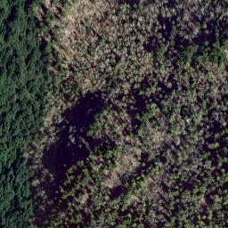 Satellite imagery of survey_point, CA