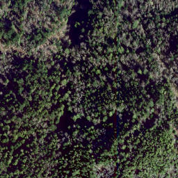 Satellite imagery of survey_point, CA