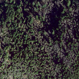 Satellite imagery of survey_point, CA