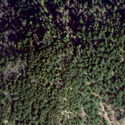 Satellite imagery of survey_point, CA