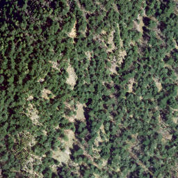 Satellite imagery of survey_point, CA
