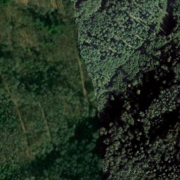 Satellite imagery of Bauwalder Kopf, DE