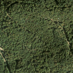 Satellite imagery of Staufelkopf, DE