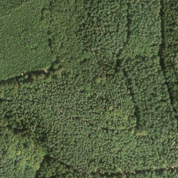 Satellite imagery of Rappenkopf, DE