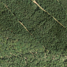 Satellite imagery of Rappenkopf, DE