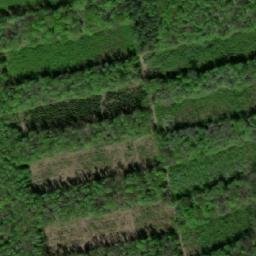 Satellite imagery of (Lipiny) [Pačlavice-Pornice], CZ