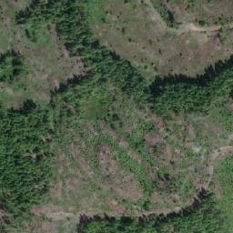 Satellite imagery of Arbutus Summit, CA