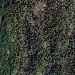 Satellite imagery of Harrison Hill, CA