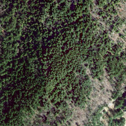Satellite imagery of Harrison Hill, CA