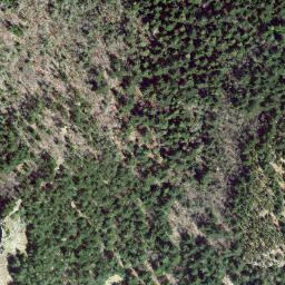 Satellite imagery of Harrison Hill, CA
