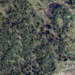 Satellite imagery of Harrison Knob, CA