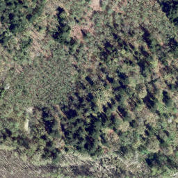 Satellite imagery of Harrison Knob, CA