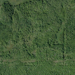 Satellite imagery of Pine Ridge, CA