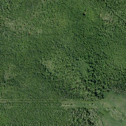 Satellite imagery of Pine Ridge, CA