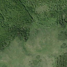 Satellite imagery of Pine Ridge, CA
