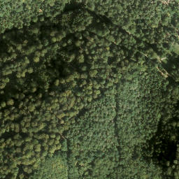 Satellite imagery of Rappenkopf, DE