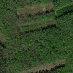 Satellite imagery of (Lipiny) [Pačlavice-Pornice], CZ