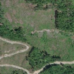 Satellite imagery of Arbutus Summit, CA