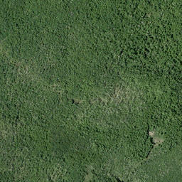 Satellite imagery of Pine Ridge, CA