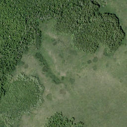 Satellite imagery of Pine Ridge, CA
