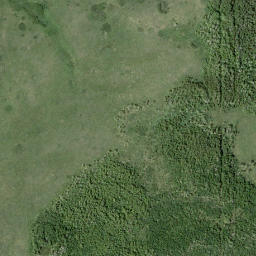 Satellite imagery of Pine Ridge, CA
