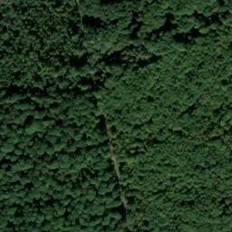 Satellite imagery of Halbe Welt, DE