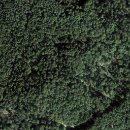 Satellite imagery of Großer Horberg, DE